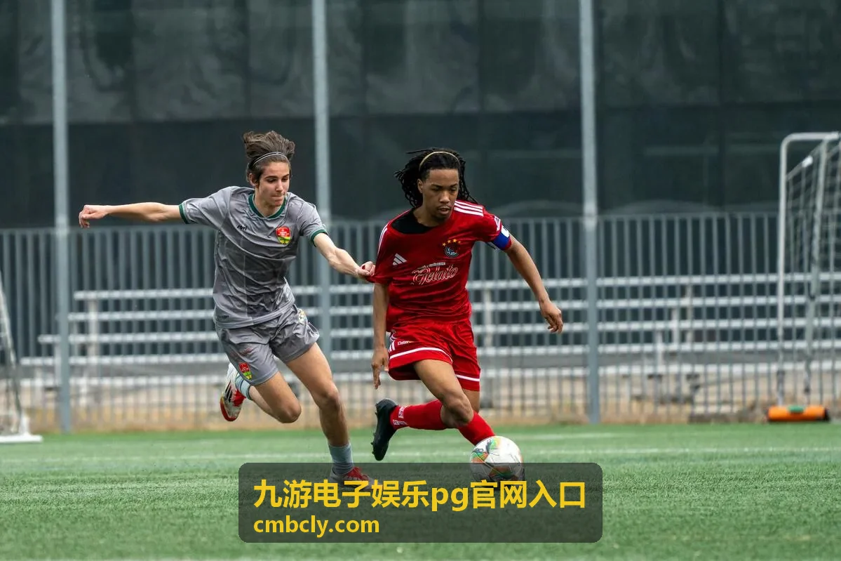 九游电子娱乐pg官网入口玩法类型区分说明配图
